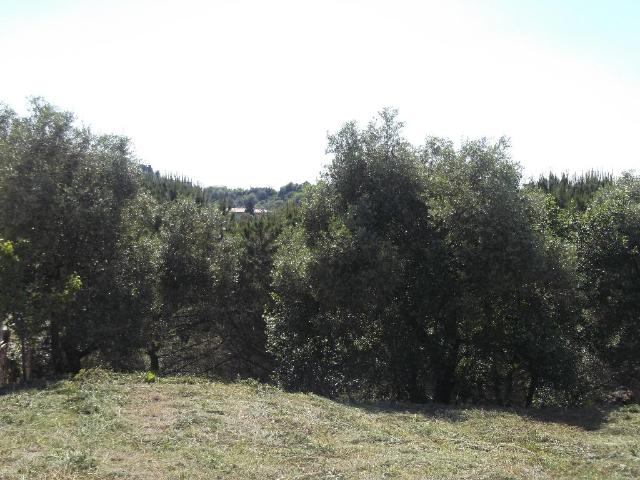 Terreno in vendita a La Scala, San Miniato