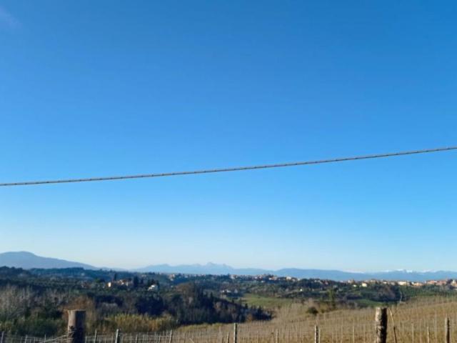 Terreno in vendita a San Miniato, Toscana