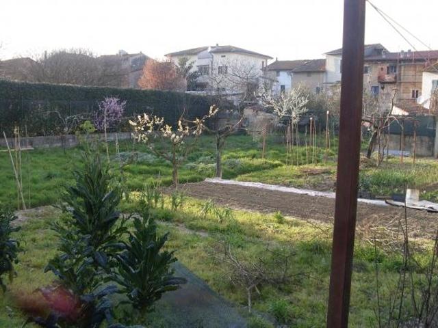 Terreno in vendita a San Miniato, Toscana