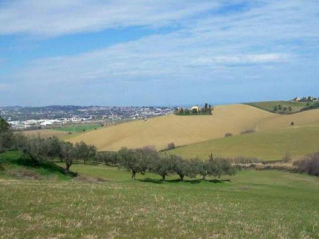 Terreno in vendita a La Scala, San Miniato