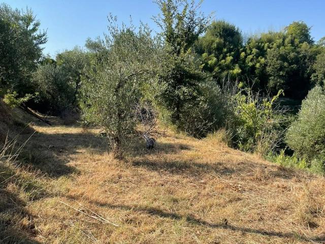 Terreno in vendita a Montebicchieri, San Miniato
