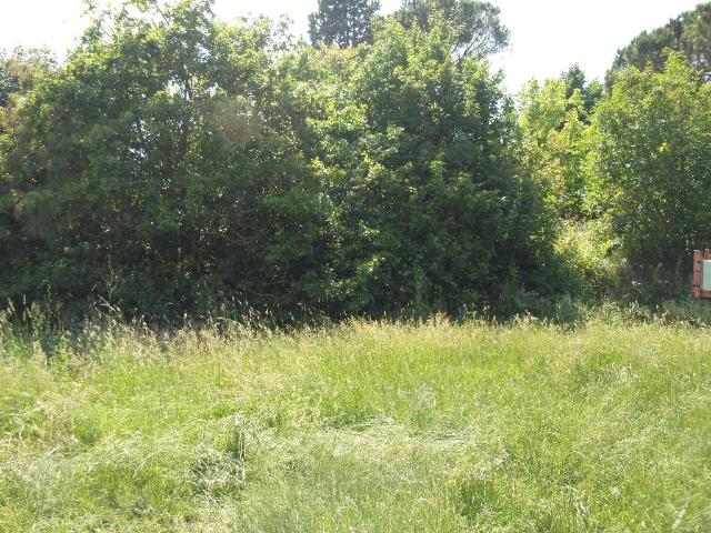 Terreno in vendita a La Scala, San Miniato