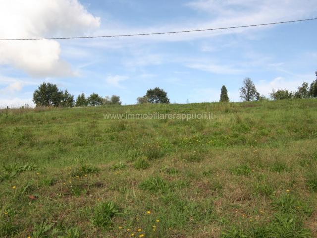 Terreno in vendita a Pieve Di Sinalunga, Toscana