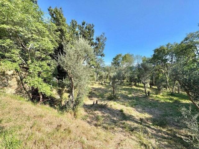 Terreno in vendita a Stella, Liguria