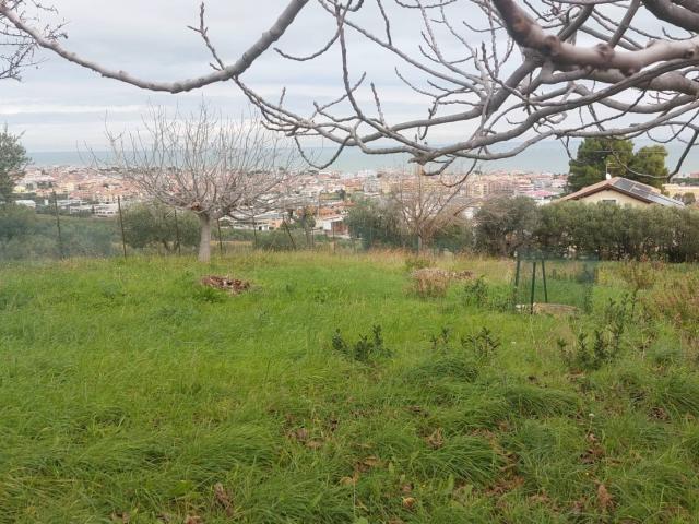 Terreno in vendita a Tortoreto, Teramo