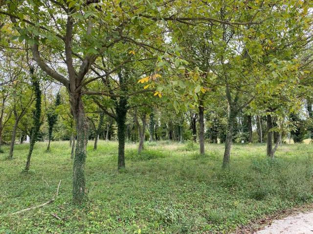Terreno in vendita a Sant'Antonino, Treviso