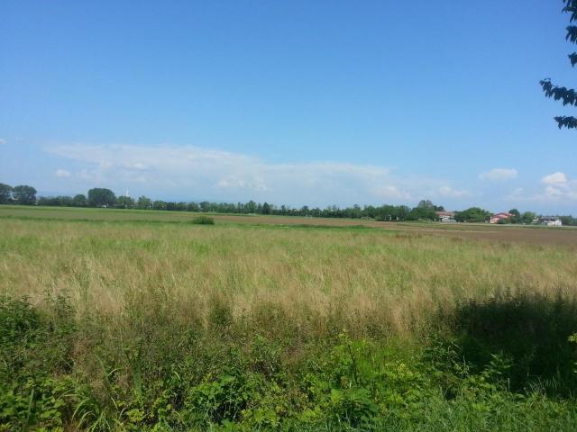 Terreno in vendita a San Bortolo, Vicenza