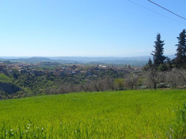 Terreno in vendita a San Barnaba, Marche
