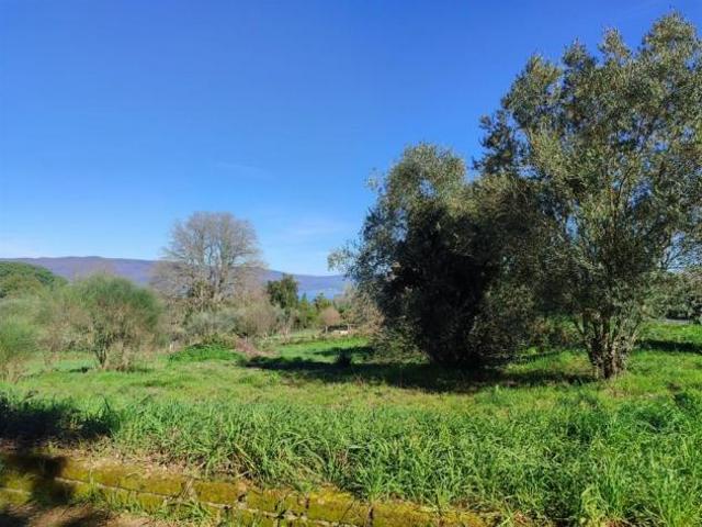 Terreno in vendita a Roma Capitale, Lazio