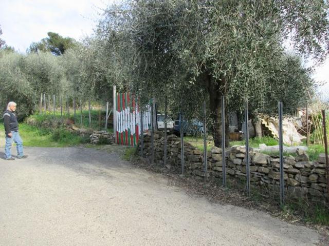 Terreno in vendita a Andora, Liguria