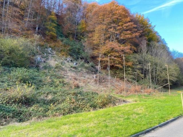 Grundstück kaufen in Aldesago, Tessin