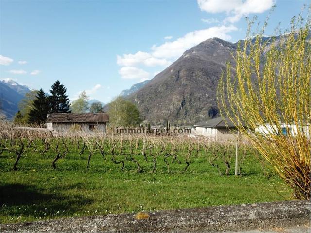 Immobilie kaufen in Arbedo-Castione, Tessin