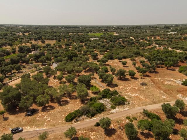 Terreno in vendita a Puglia, Brindisi