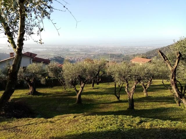 Terreno in vendita a Massarosa, Toscana
