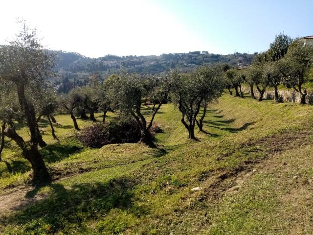Terreno in vendita a Massarosa, Toscana