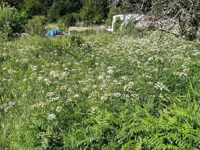 Terreno en venta en Bembrive, Vigo