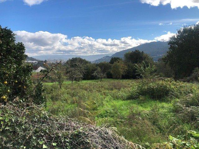 Terreno en venta en O Vinteún, Ourense