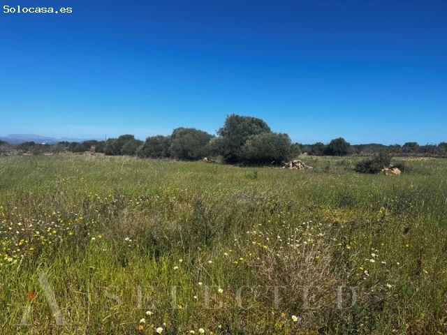 Local Comercial en venta en Pla de Mallorca, Baleares