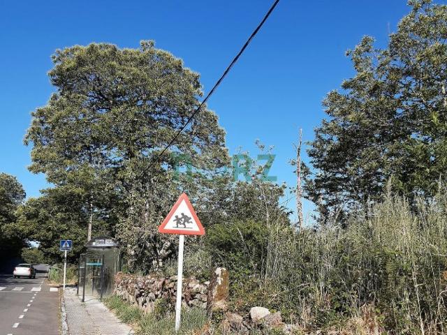 Terreno en venta en Vilamarín, Ourense