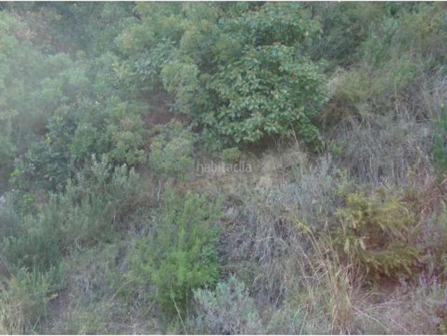 Local Comercial en venta en Can Palau, Maresme