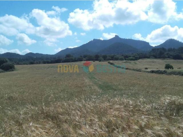 Terreno en venta en Cas Concos des Cavaller, Migjorn