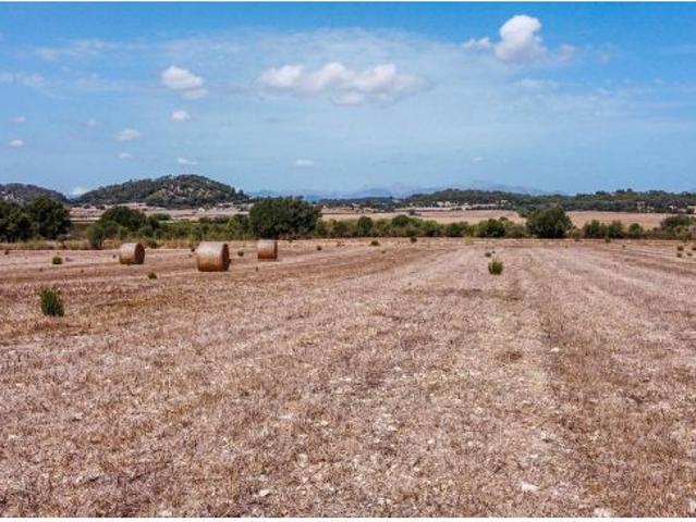 Local Comercial en venta en Pla de Mallorca, Baleares