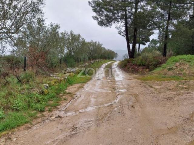 Terreno venda em Nagoselo Do Douro, Viseu