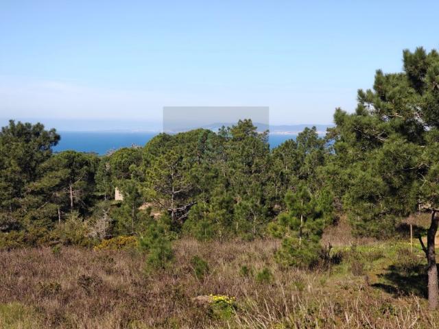 Terreno venda em Sesimbra (Castelo), Sesimbra