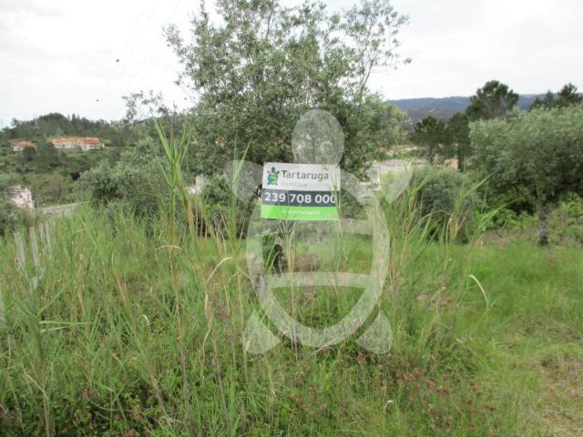 Terreno venda em Coimbrã, Coimbra