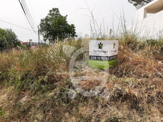 Terreno venda em Coimbrã, Coimbra