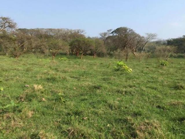 Terreno en venta en Misantla, Veracruz