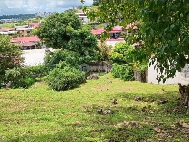 Terreno venta en David