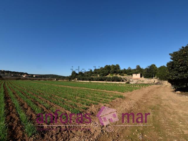 Terreno en venta en Tarragonès, Catalunya