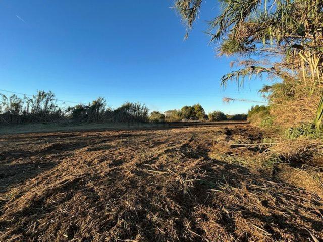 Terreno en alquiler en la Plana Alta, Valencia