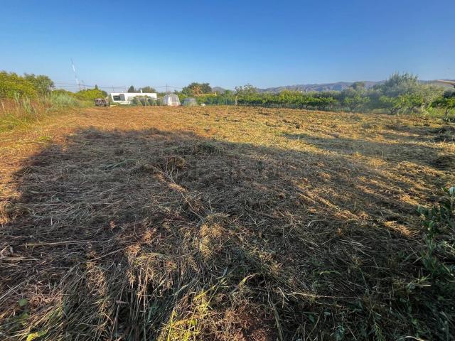 Terreno en venta en la Plana Alta, Valencia