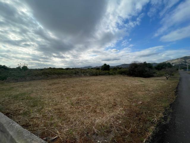 Terreno en venta en la Plana Alta, Valencia