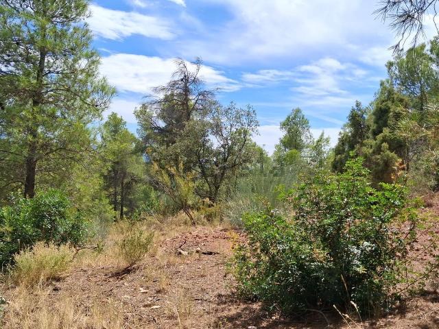 Terreno en venta en Priorat, Catalunya