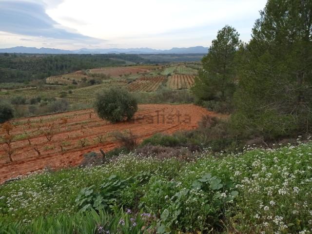 Terreno en venta en Priorat, Catalunya