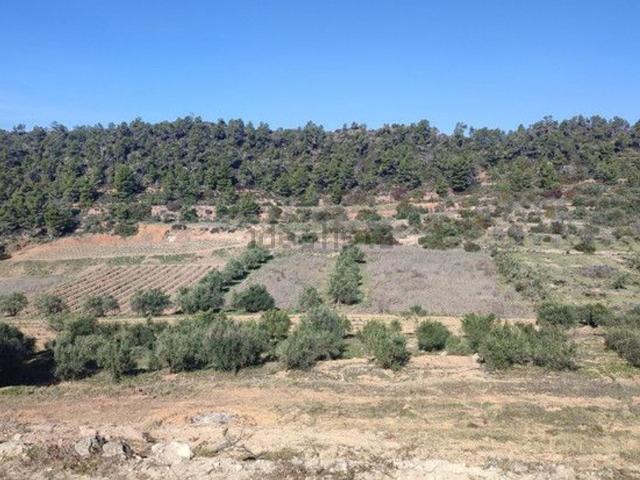Terreno en venta en el Masroig, Tarragona