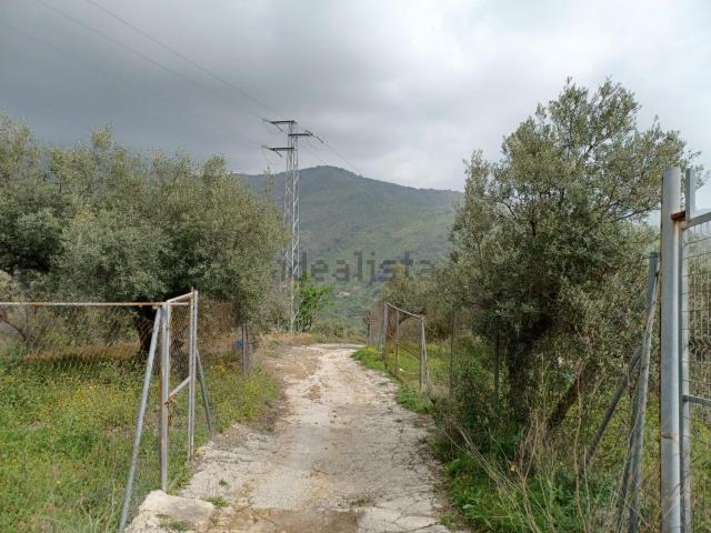 Terreno en alquiler en Este, Málaga-Costa del Sol