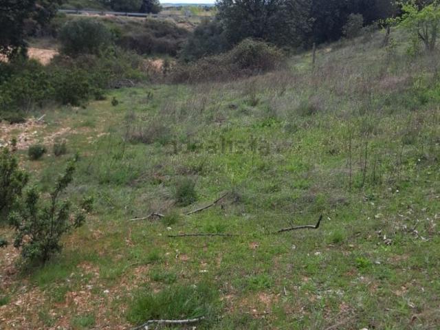 Terreno en venta en El Perdigón, Castilla y León