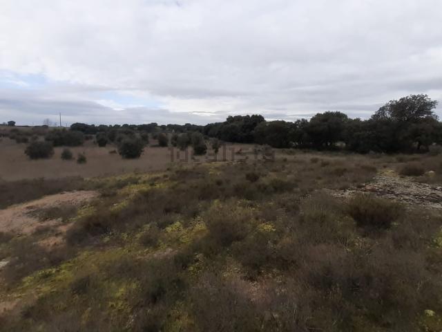 Terreno en venta en El Perdigón, Castilla y León