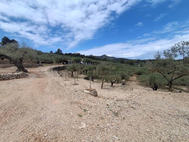 Terreno en venta en Baix Ebre, Catalunya