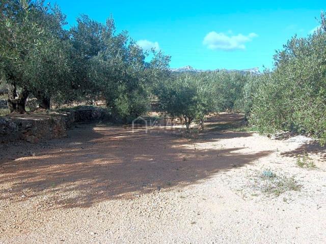Terreno en venta en Baix Ebre, Catalunya