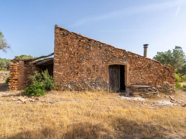 Terreno en venta en Baix Ebre, Catalunya