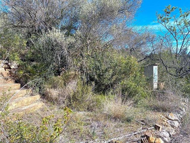 Terreno en venta en Baix Ebre, Catalunya