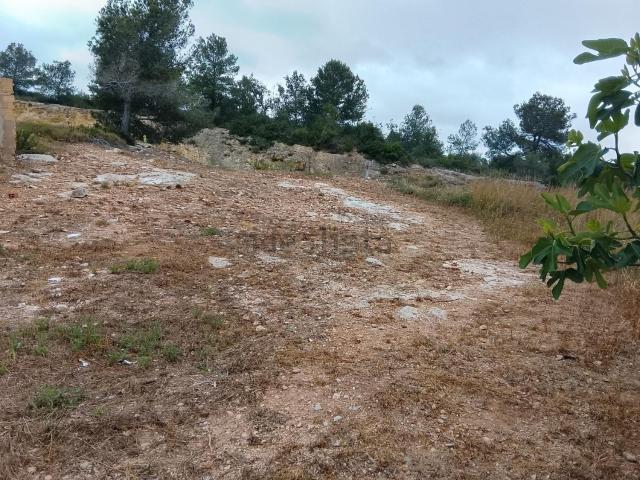 Terreno en venta en Baix Ebre, Catalunya