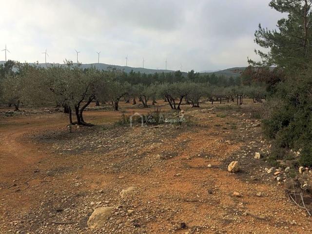 Terreno en venta en Baix Ebre, Catalunya