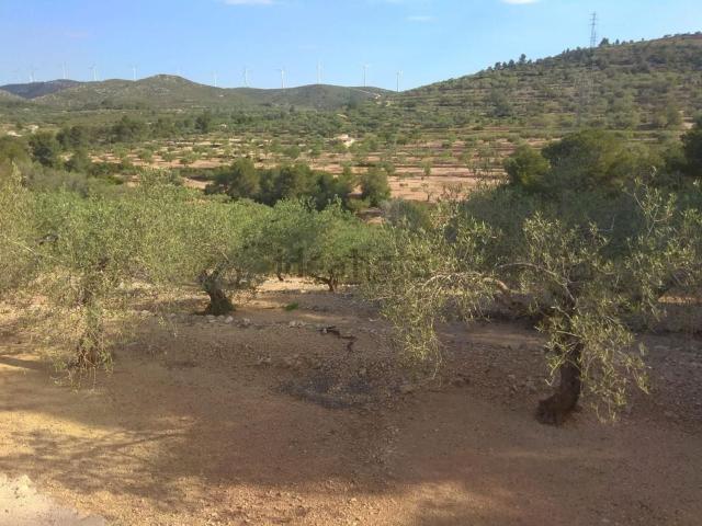 Terreno en venta en Baix Ebre, Catalunya