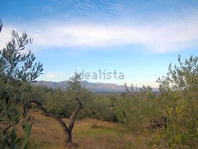 Terreno en venta en Baix Ebre, Catalunya